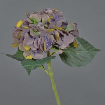 Ortensia artificiale FUXIANG, viola-verde, 50 cm