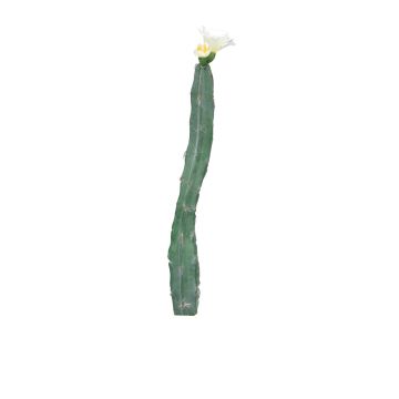Cactus artificiale a colonna ANRAN con fiori, stelo, crema, 35cm