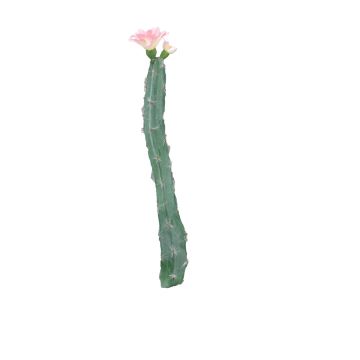 Cactus artificiale a colonna ANRAN con fiori, stelo, rosa, 35cm