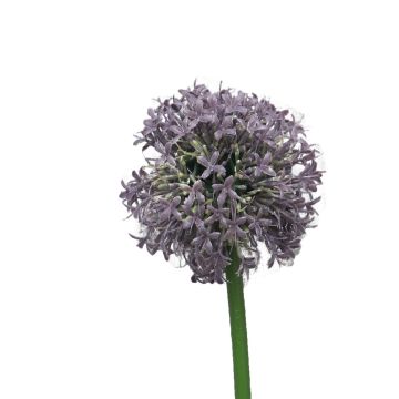 Allium di plastica SHUJIN, viola, 65 cm
