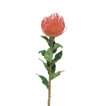 Protea artificiale XIFANG, rosso, 75 cm