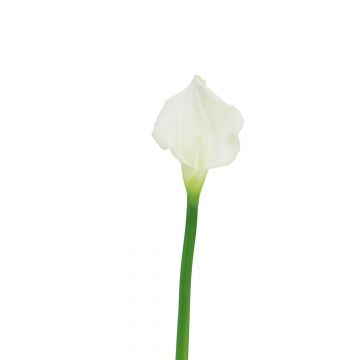 Calla artificiale ZHILONG, bianco, 55 cm