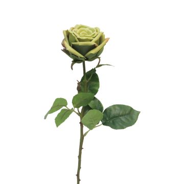 Rosa artificiale JIANHUA, verde, 70 cm