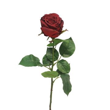Rosa artificiale JIANHUA, rosso scuro, 70 cm