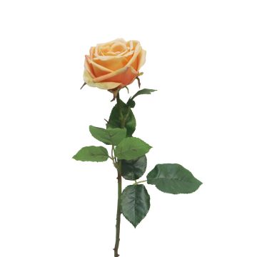 Rosa artificiale JIANHUA, pesca, 70 cm