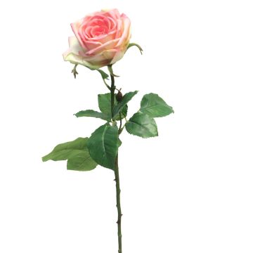 Rosa artificiale JIANHUA, rosa-verde, 70 cm
