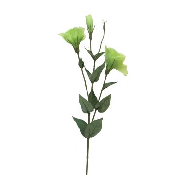 Lisianthus di plastica MUYAN, verde, 80 cm