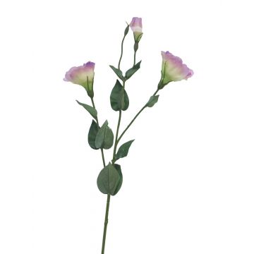Lisianthus di plastica MUYAN, rosa-crema, 80 cm