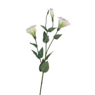 Lisianthus di plastica MUYAN, viola-crema, 80 cm