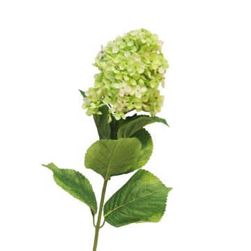 Hydrangea Paniculata artificiale YANGDAN, verde chiaro, 85 cm