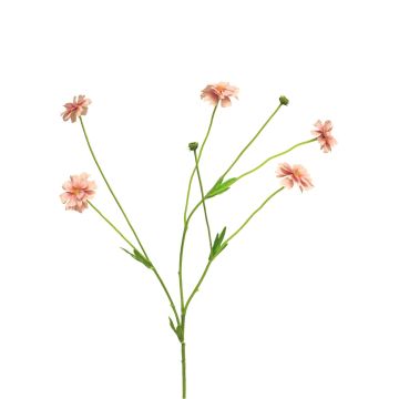 Centaurea artificiale TAOTAO, rosa, 65 cm