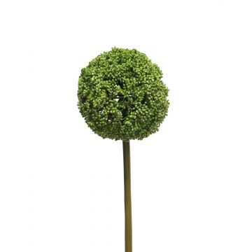Allium decorativo GUILAN, verde, 75 cm