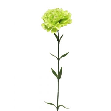 Garofano artificiale ATONG, verde chiaro, 65 cm