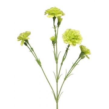 Garofano artificiale AHONG, verde chiaro, 60 cm