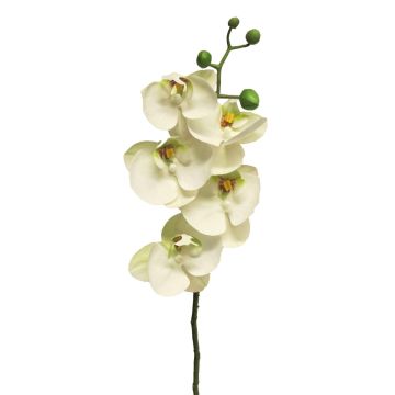 Ramo artificiale di orchidea Phalaenopsis SONGYA, bianco, 55 cm