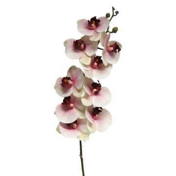 Ramo artificiale di orchidea Phalaenopsis SONGYA, rosa-crema, 105 cm