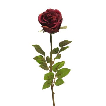 Rosa artificiale CONGMIN, bordeaux, 70 cm