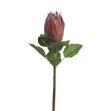 Protea artificiale SHUHUI, rossa, 60 cm