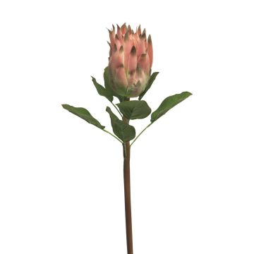 Protea artificiale SHUHUI, rosa, 60 cm