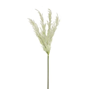 Erba della pampa decorativa ANNING, bianca, 100cm