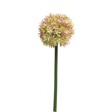 Allium artificiale ZHUANG, rosa-crema, 60 cm