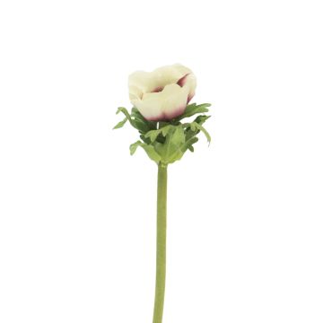 Anemone artificiale BOYANG, crema-viola, 35 cm
