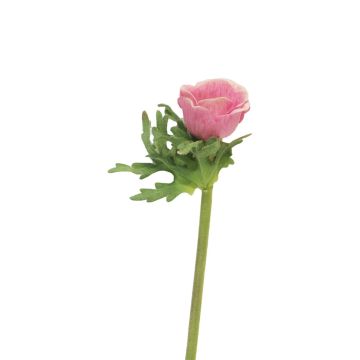 Anemone artificiale BOYANG, rosa, 35 cm