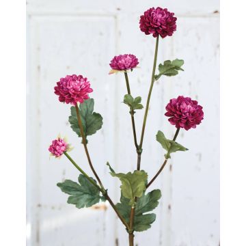 Crisantemo artificiale RYON, viola scuro, 70cm, Ø3-5cm