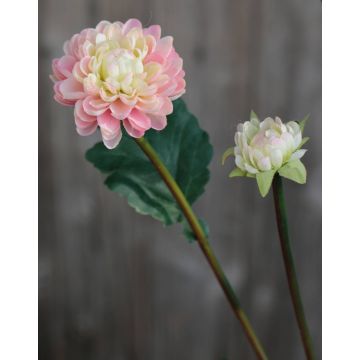 Crisantemo artificiale RYON, rosa-crema, 70cm, Ø3-5cm