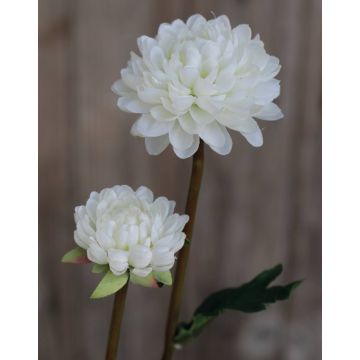 Crisantemo artificiale RYON, bianco, 70cm, Ø3-5cm