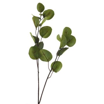 Ramo decorativo di eucalipto AOSHAN, verde, 80 cm