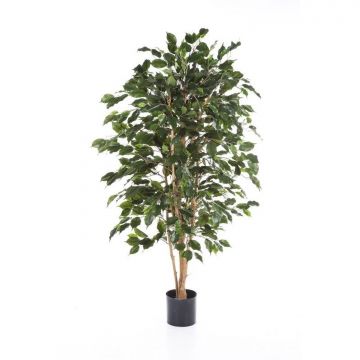 Ficus Benjamina artificiale THIAGO, tronchi naturali, difficilmente infiammabile, verde, 120cm