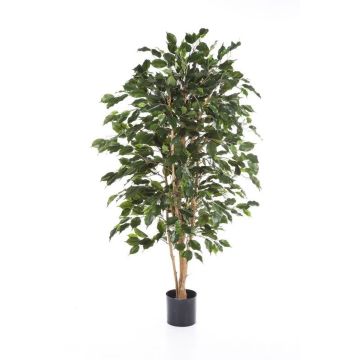 Ficus Benjamina artificiale THIAGO, tronchi naturali, difficilmente infiammabile, verde, 150cm