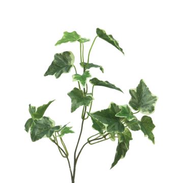 Ramo decorativo di edera LANSHUO, verde-bianco, 55 cm