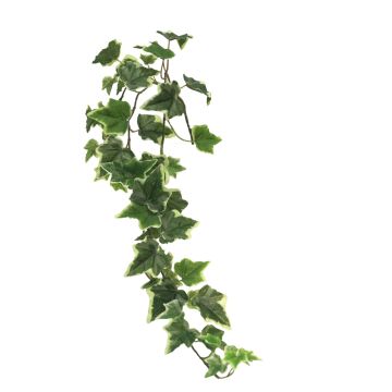 Ramo decorativo di edera LANSHUO, verde-bianco, 80 cm