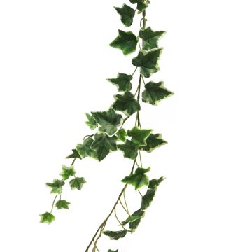 Ghirlanda decorativa di edera LANSHUO, verde-bianco, 180 cm