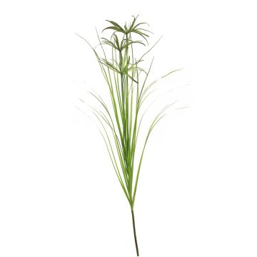 Ramo decorativo di erba di Cipro QINYU, verde, 120 cm