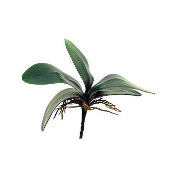 Foglie artificiali di orchidea Phalaenopsis XIAOQIN con radici aeree, 25cm
