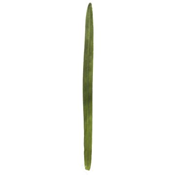 Canna artificiale YUTING, verde, 80 cm