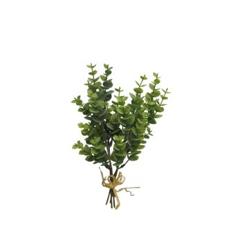 Mazzo di eucalipto artificiale YANCHEN, verde, 25 cm