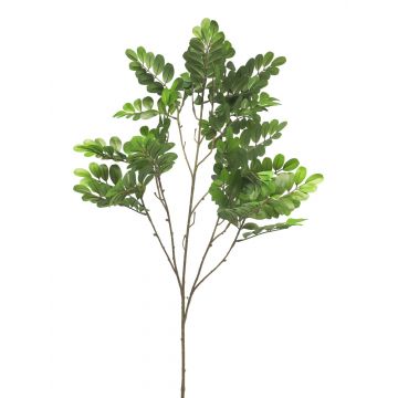 Ramo finto di robinia WENLIN, verde, 100 cm