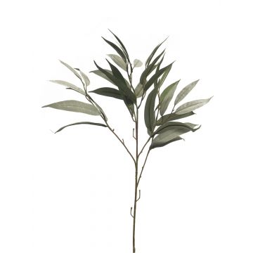 Ramo decorativo di mango WENLIAN, verde-grigio, 75 cm