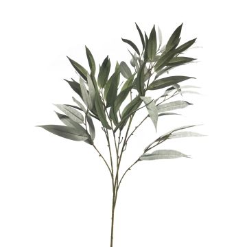 Ramo decorativo di mango WANLIN, verde-grigio, 100 cm
