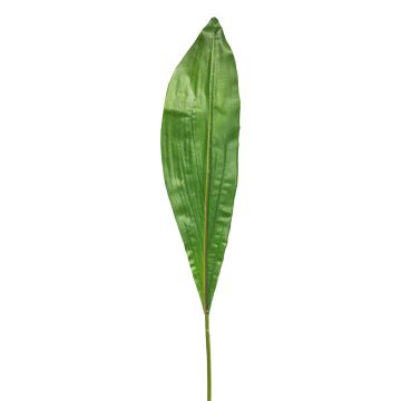 Foglia di cordyline artificiale XIANGAN, verde, 90 cm