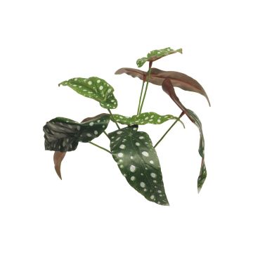 Pianta di begonia artificiale NILING, stelo, verde-bianco, 35 cm