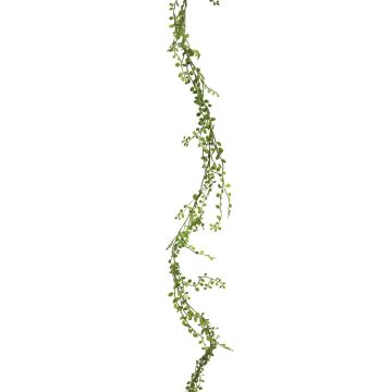 Ghirlanda decorativa di Muehlenbeckia WEIJIA, verde, 180 cm