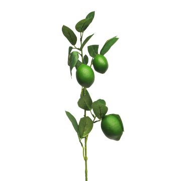 Ramo decorativo di limetta XIALIN con frutti, verde, 75 cm