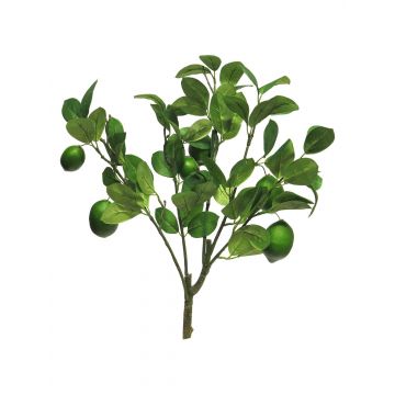 Ramo di limetta artificiale XIALIN con frutti, verde, 60 cm