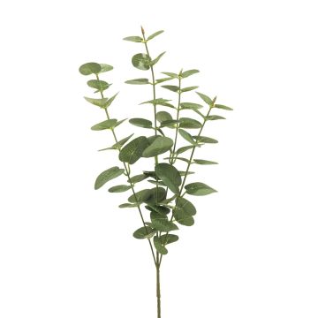 Ramo artificiale di eucalipto MINJIA, verde-grigio, 65 cm