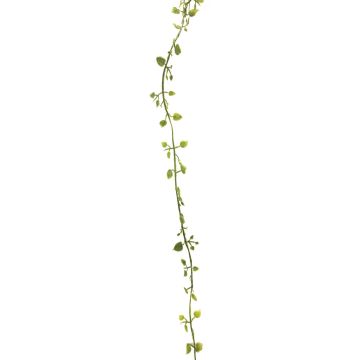 Ghirlanda artificiale di muehlenbeckia JIAMIN, verde-grigio, 240 cm